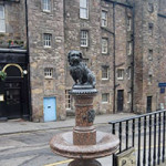 Candlemaker Hall behind Greyfriar's Bobby