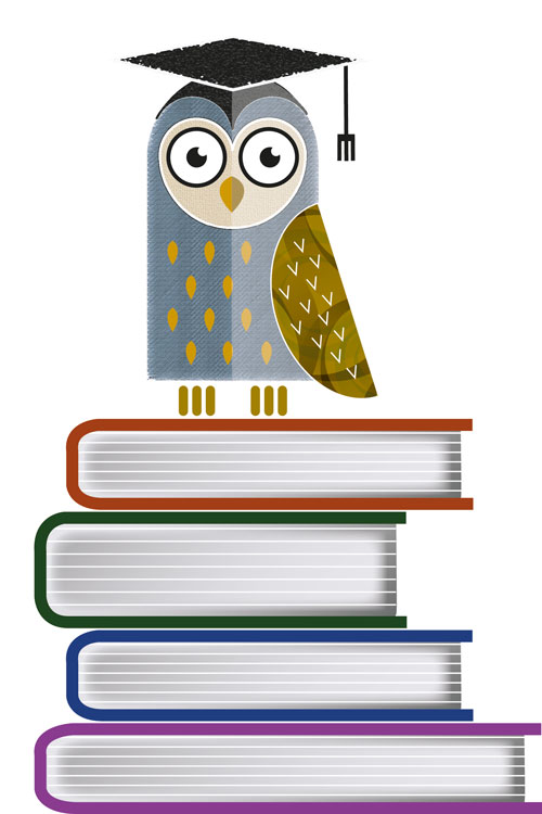 Owl illustration by David Hamburgh