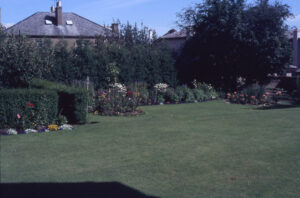 Garden at Murrayfield