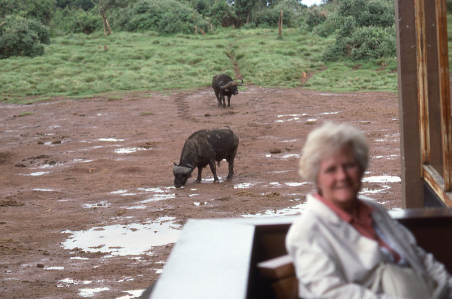 Kenya 1991