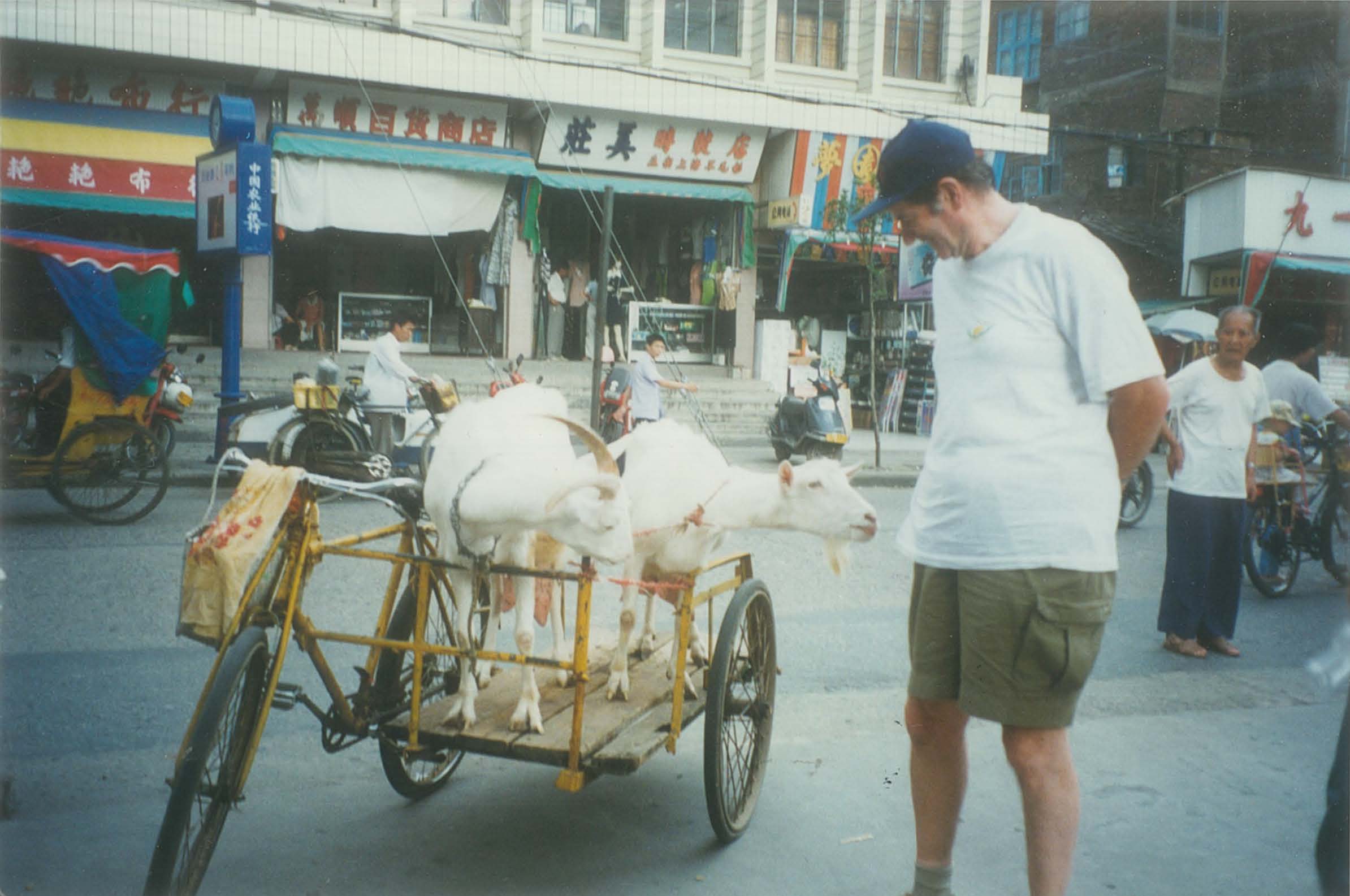 1997 cart Ian